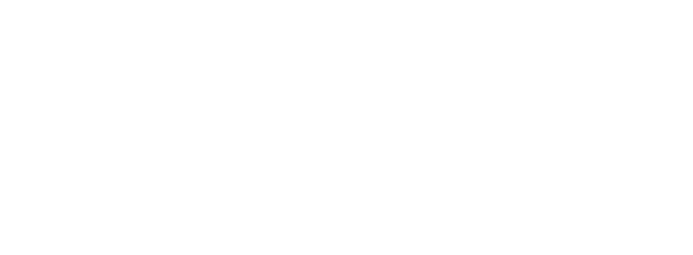 Logo Finzzle Groupe